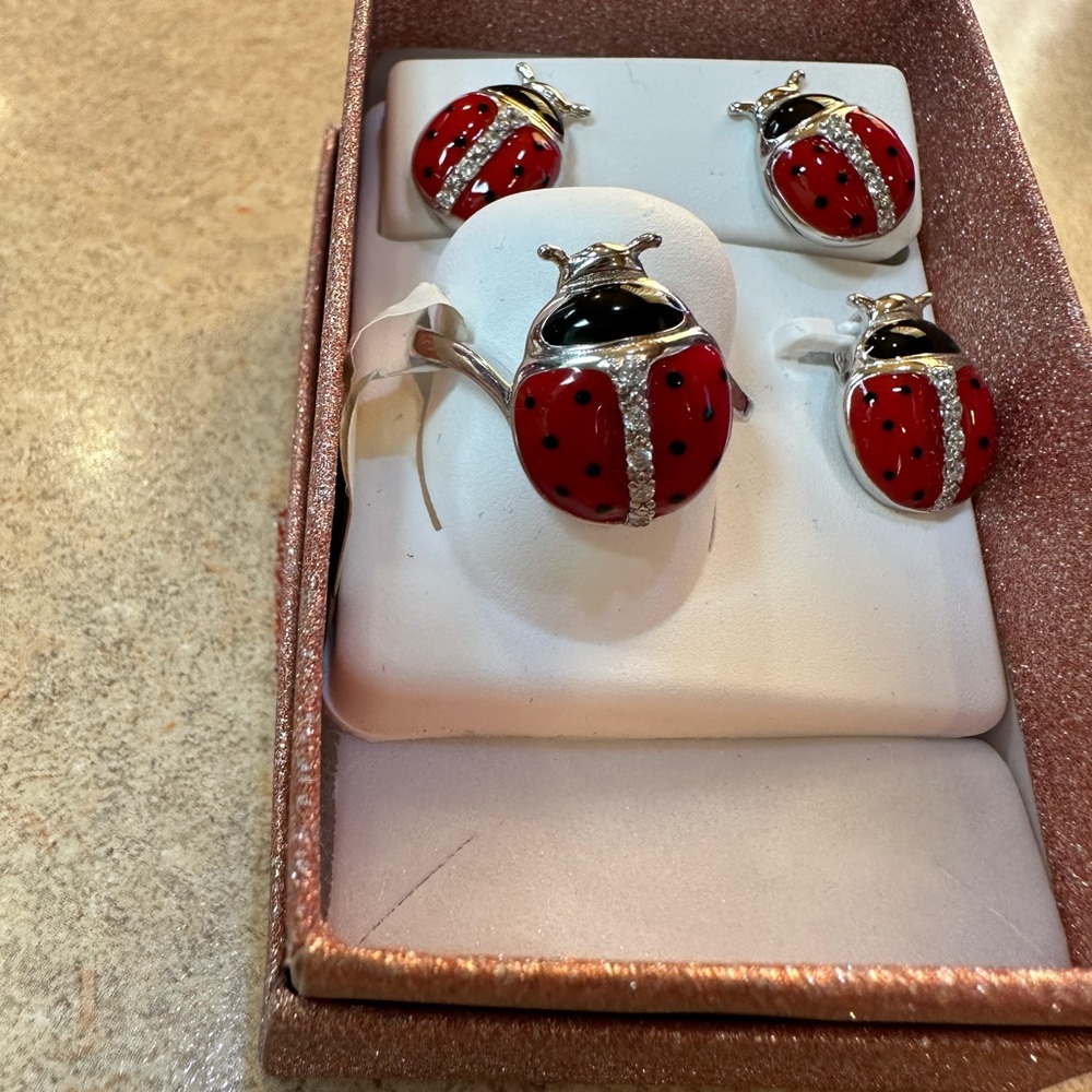 Beautiful beetles Jewelry set